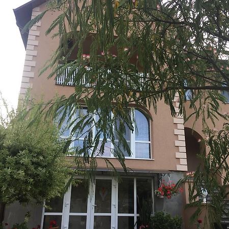 Private House Berehove (Transcarpathia) Exterior foto