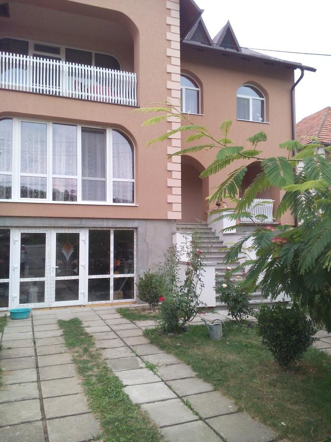 Private House Berehove (Transcarpathia) Exterior foto