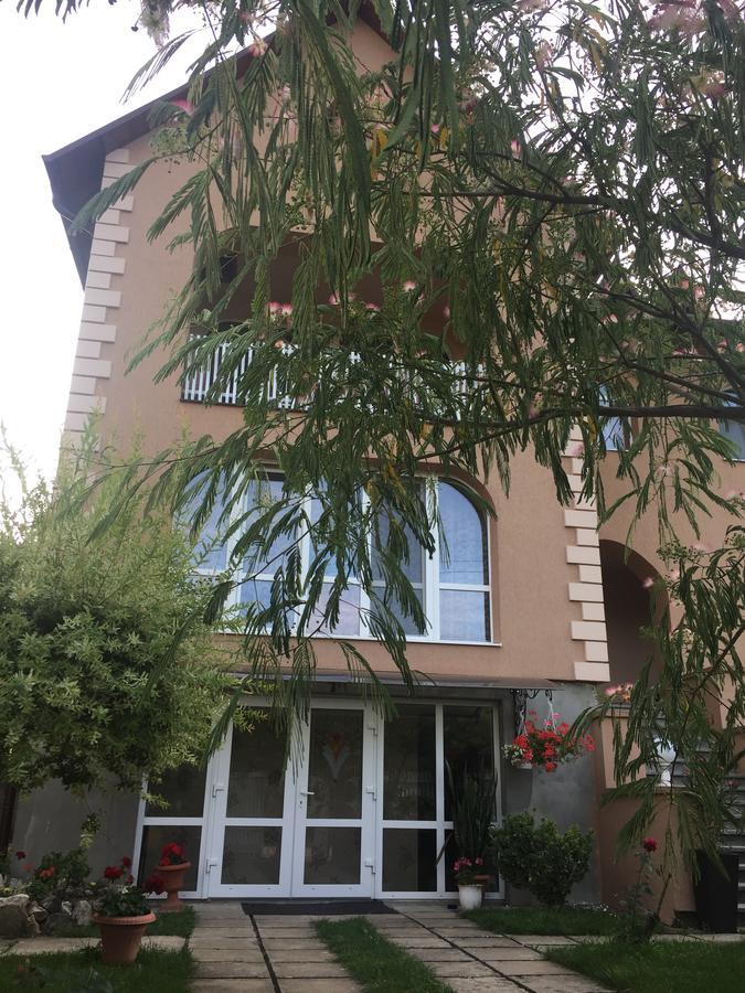 Private House Berehove (Transcarpathia) Exterior foto