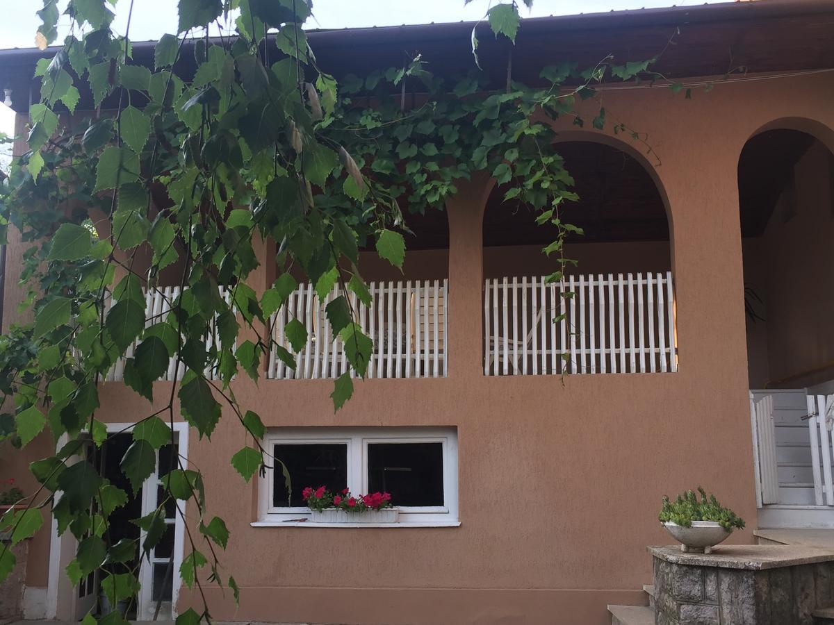 Private House Berehove (Transcarpathia) Exterior foto